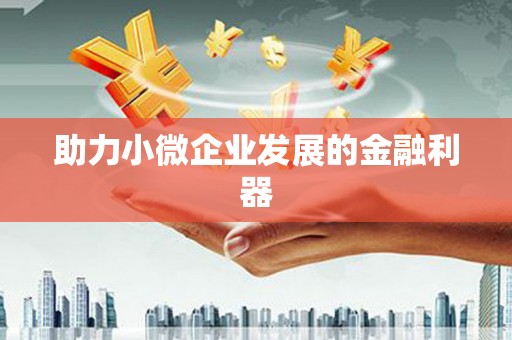 新泰助力小微企业发展的金融利器
