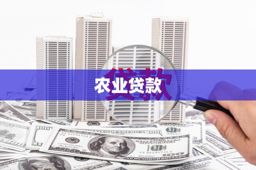 新泰农业贷款