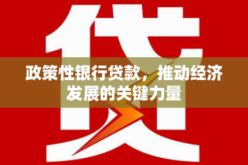 新泰政策性银行贷款，推动经济发展的关键力量