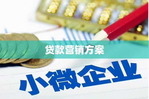 新泰贷款营销方案