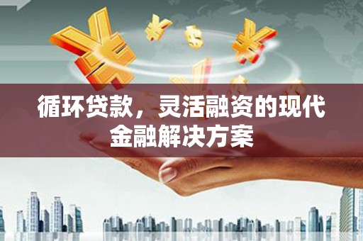 新泰循环贷款，灵活融资的现代金融解决方案