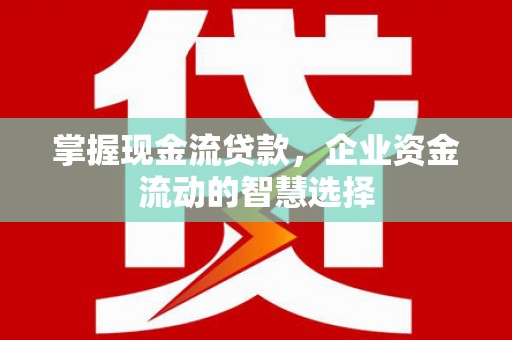 新泰掌握现金流贷款，企业资金流动的智慧选择