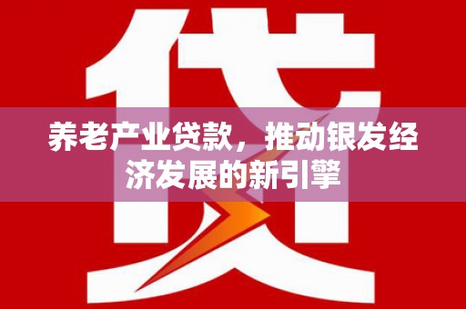 新泰养老产业贷款，推动银发经济发展的新引擎