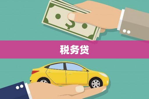 新泰税务贷