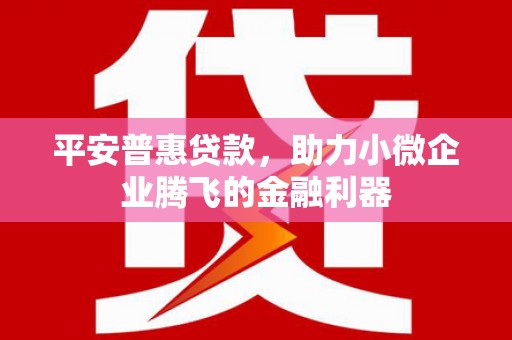 新泰平安普惠贷款，助力小微企业腾飞的金融利器