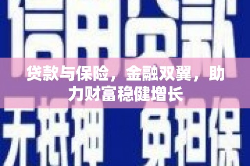 新泰贷款与保险，金融双翼，助力财富稳健增长