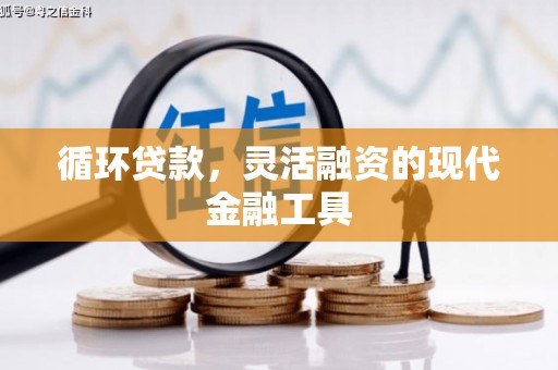 新泰循环贷款，灵活融资的现代金融工具