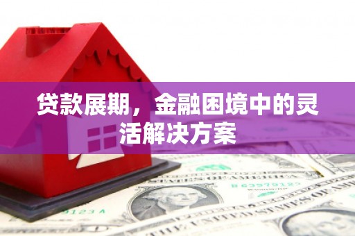 新泰贷款展期，金融困境中的灵活解决方案