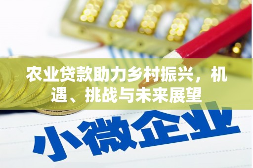 新泰农业贷款助力乡村振兴，机遇、挑战与未来展望