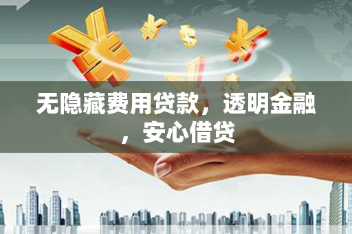 新泰无隐藏费用贷款，透明金融，安心借贷