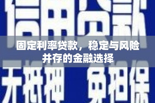 新泰固定利率贷款，稳定与风险并存的金融选择
