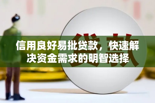 新泰信用良好易批贷款，快速解决资金需求的明智选择