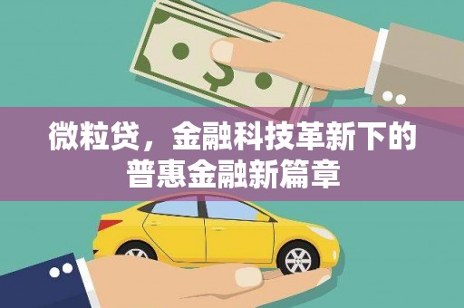 新泰微粒贷，金融科技革新下的普惠金融新篇章