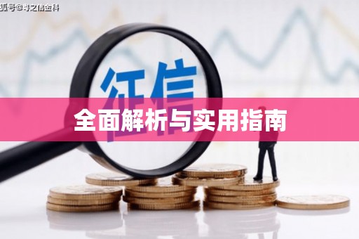 新泰全面解析与实用指南