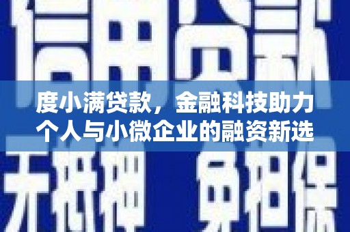新泰度小满贷款，金融科技助力个人与小微企业的融资新选择
