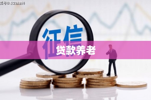 新泰贷款养老
