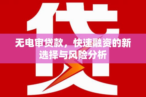 新泰无电审贷款，快速融资的新选择与风险分析