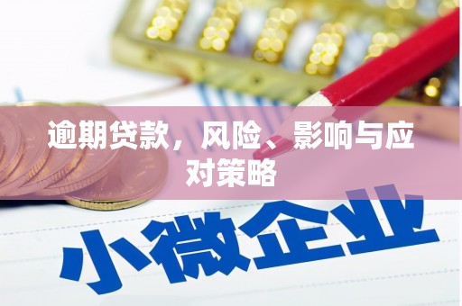新泰逾期贷款，风险、影响与应对策略