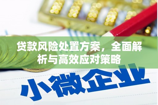 新泰贷款风险处置方案，全面解析与高效应对策略