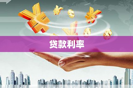 新泰贷款利率