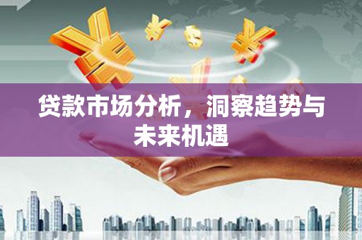 新泰贷款市场分析，洞察趋势与未来机遇