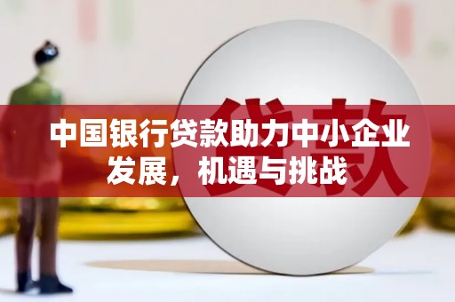 新泰中国银行贷款助力中小企业发展，机遇与挑战
