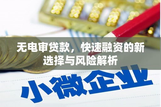 新泰无电审贷款，快速融资的新选择与风险解析