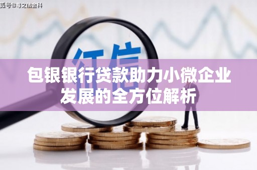 新泰包银银行贷款助力小微企业发展的全方位解析