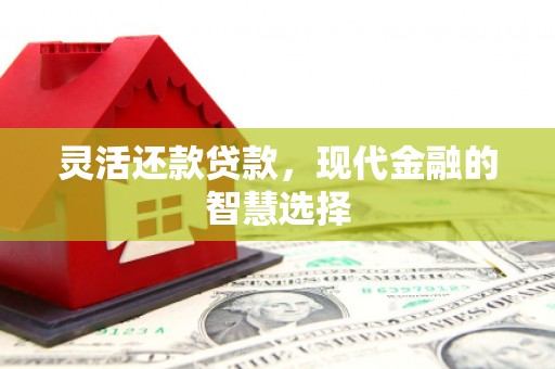 新泰灵活还款贷款，现代金融的智慧选择