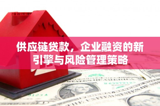 新泰供应链贷款，企业融资的新引擎与风险管理策略
