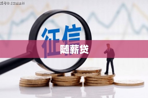 新泰随薪贷