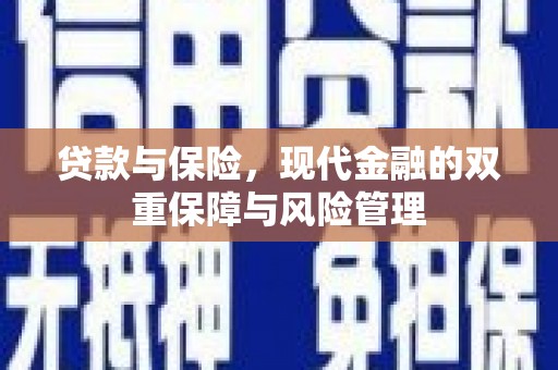 新泰贷款与保险，现代金融的双重保障与风险管理