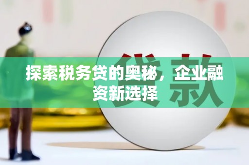 新泰探索税务贷的奥秘，企业融资新选择