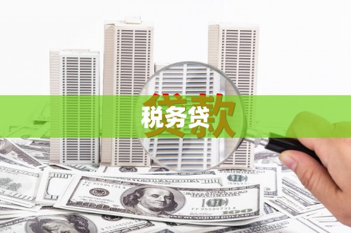 新泰税务贷