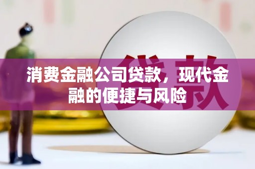 新泰消费金融公司贷款，现代金融的便捷与风险