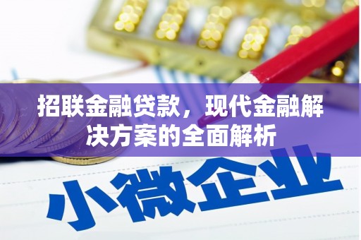 新泰招联金融贷款，现代金融解决方案的全面解析