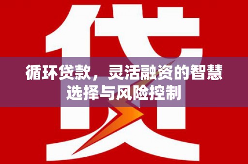 新泰循环贷款，灵活融资的智慧选择与风险控制