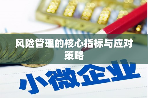 新泰风险管理的核心指标与应对策略