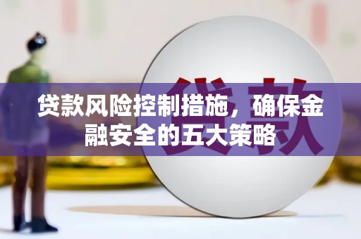 新泰贷款风险控制措施，确保金融安全的五大策略