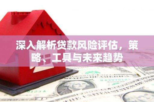 新泰深入解析贷款风险评估，策略、工具与未来趋势