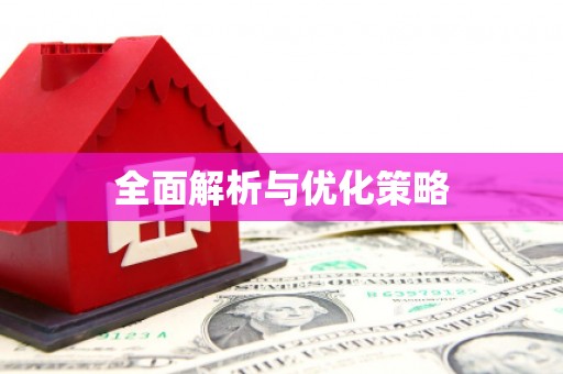 新泰全面解析与优化策略