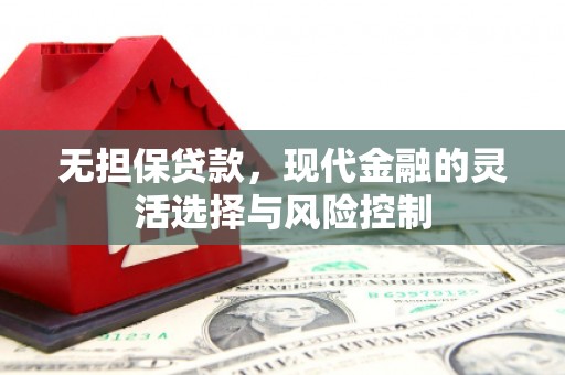 新泰无担保贷款，现代金融的灵活选择与风险控制