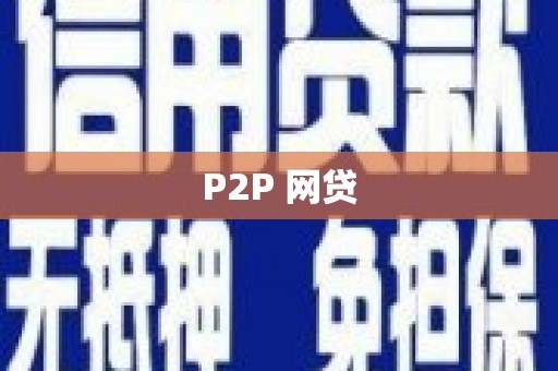 新泰P2P 网贷