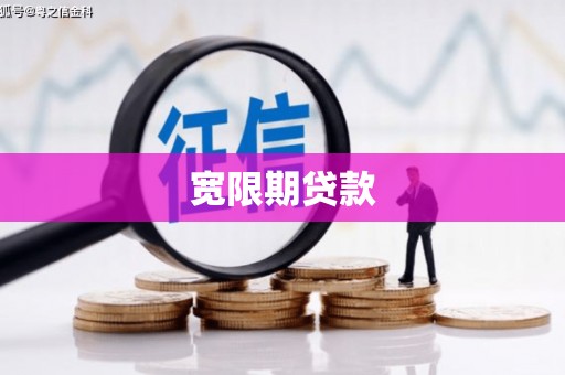 新泰宽限期贷款