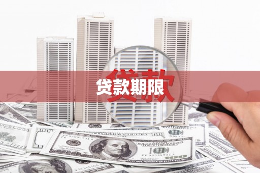 新泰贷款期限