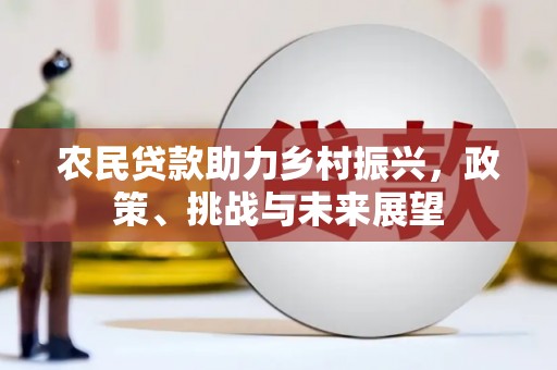 新泰农民贷款助力乡村振兴，政策、挑战与未来展望