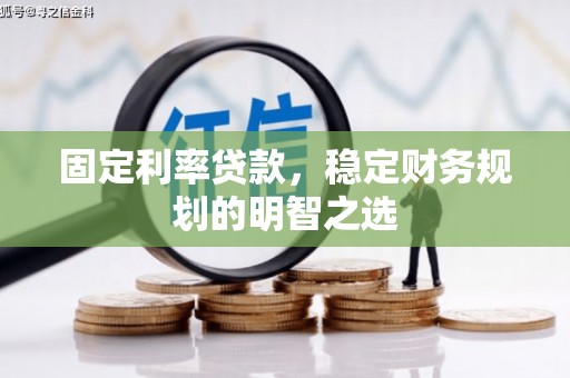 新泰固定利率贷款，稳定财务规划的明智之选