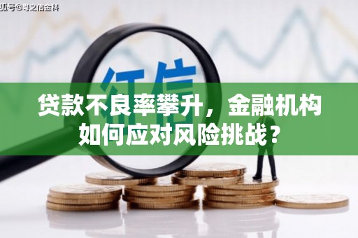 新泰贷款不良率攀升，金融机构如何应对风险挑战？