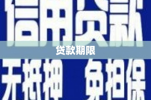 新泰贷款期限