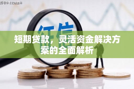 新泰短期贷款，灵活资金解决方案的全面解析